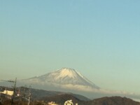 新年のご挨拶と皆さまへの深い感謝を込めて